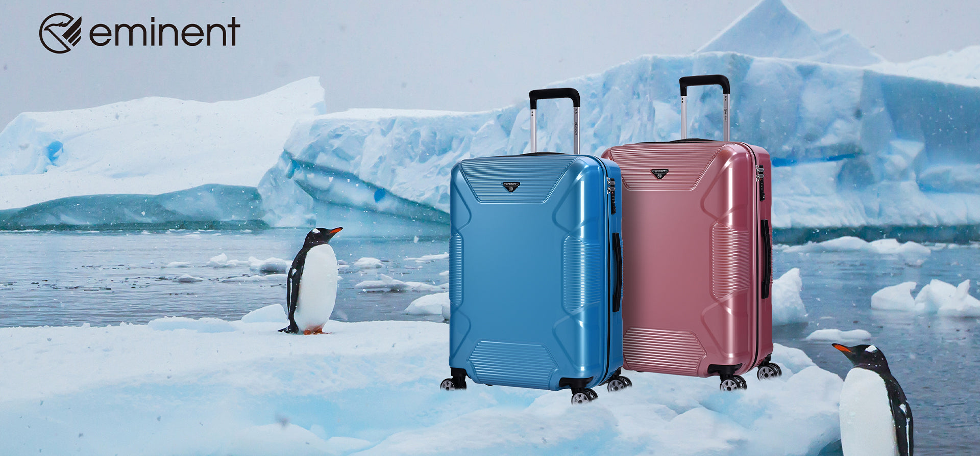 Luggage